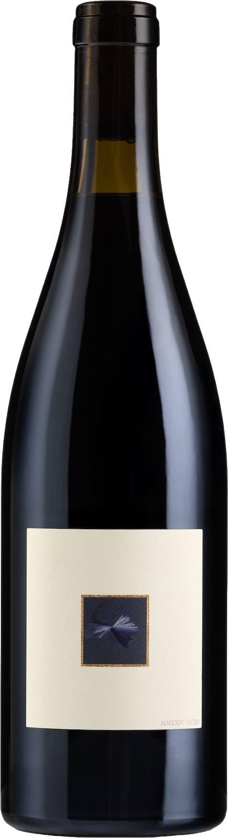 LVDO Light Dry Red Wine Shiraz 2024 bottle - Adelaide Hills